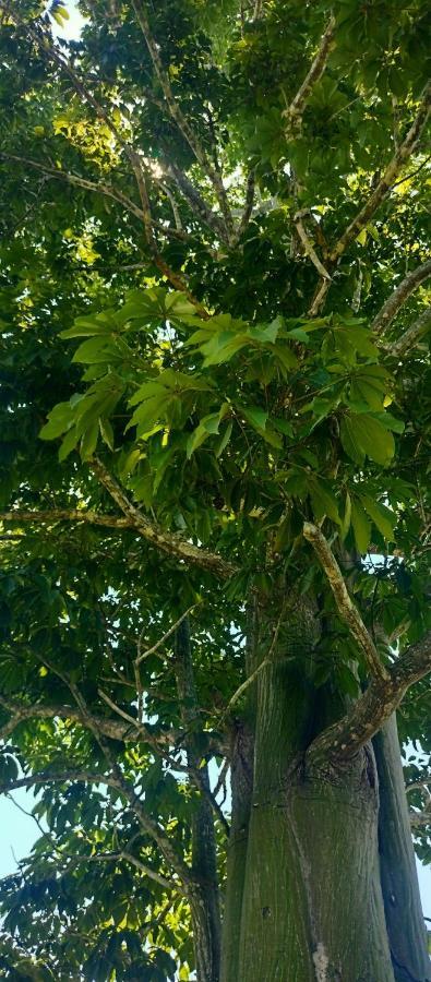 Casa Kukama Lodge Iquitos Eksteriør bilde