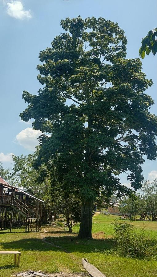 Casa Kukama Lodge Iquitos Eksteriør bilde